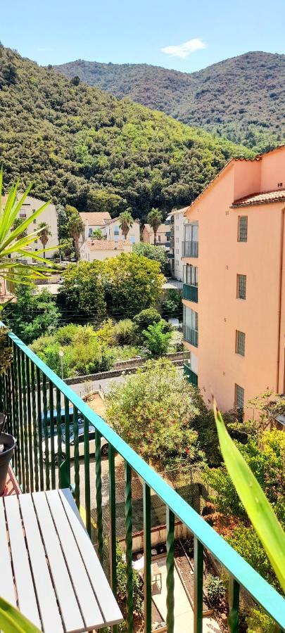T2 Tout Confort Amélie-les-Bains-Palalda Exterior photo