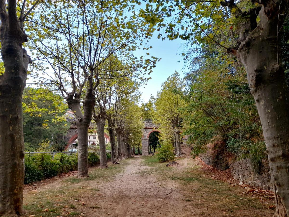 T2 Tout Confort Amélie-les-Bains-Palalda Exterior photo